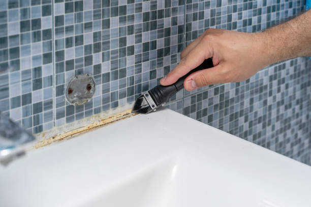 The Dalles, OR Mold Removal Pros