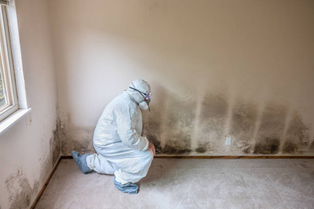 Best Residential Mold Removal  in The Dalles, OR
