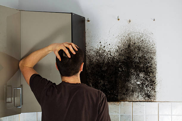Best Water Damage Restoration  in The Dalles, OR